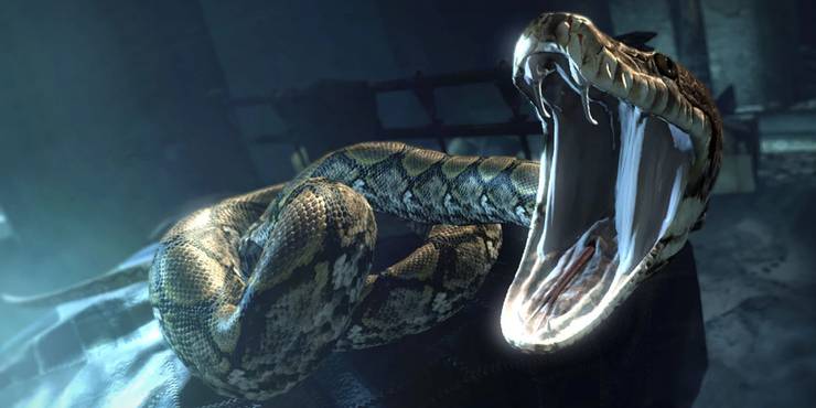 Harry Potter Horcruxes Ranked By Difficulty Of Obtaining Them Harry Potter Horcruxes Ranked By Difficulty Of Obtaining Them